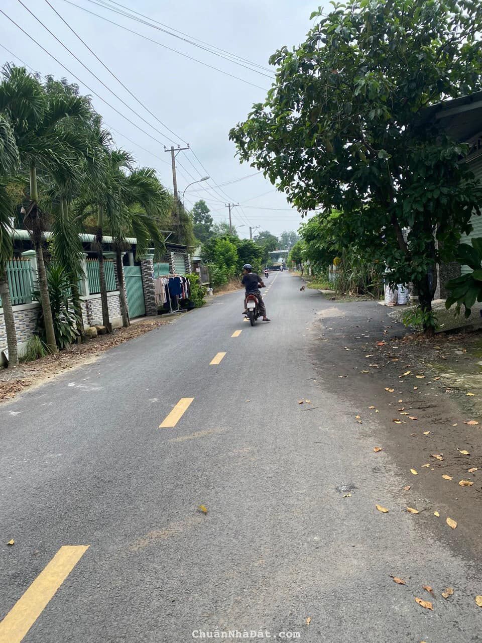 BÁN NHANH LÔ ĐẤT NGỢP_Phú Hòa Đông, Củ Chi, 100m2, Full Thổ Cư,SHR, GIÁ 690TR