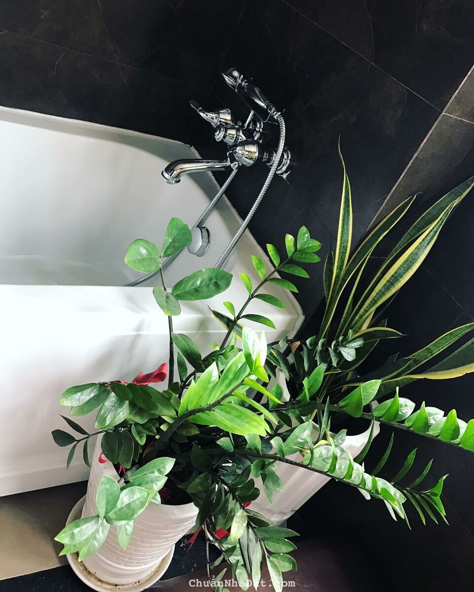 SỐC, bán gấp căn hộ TÂN PHƯỚC PLAZA 1 tỷ 390, Q.11, 2PN-2WC 