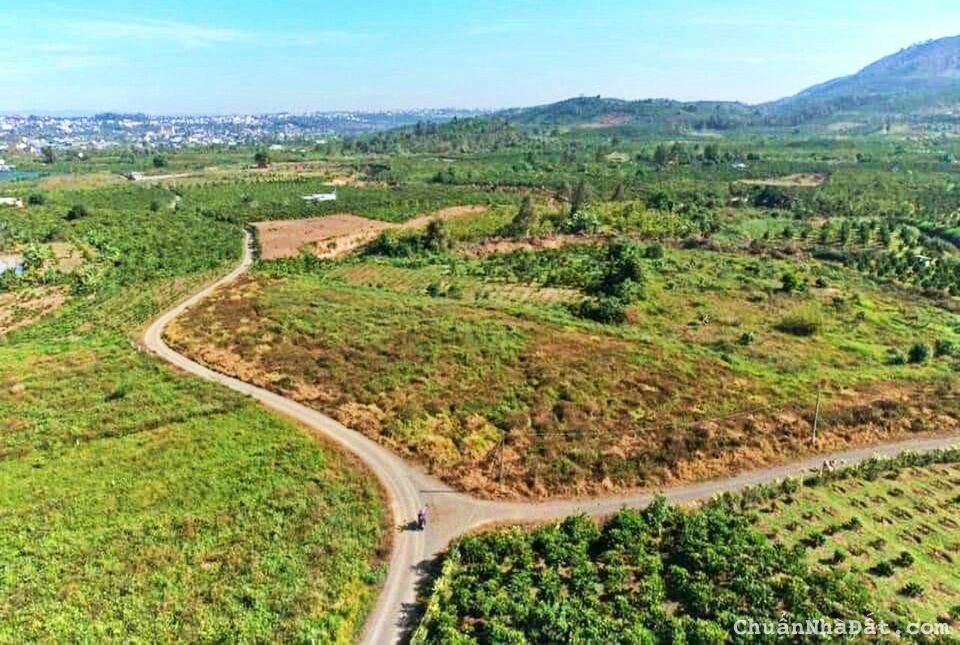 Bán đất tại Lộc Châu, Lâm Đồng, ngay đường lộ 6m, giá mềm cho nhà đầu tư Bán đất tại Lộc Châu, Lâm Đồng, ngay đường lộ 6m, giá mềm cho nhà đầu tư