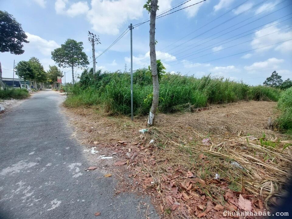 NỀN MẶT TIỀN ĐƯỜNG HUỲNH THỊ NỠ - THƯỜNG THẠNH - CÁI RĂNG - CẦN THƠ NỀN MẶT TIỀN ĐƯỜNG HUỲNH THỊ NỠ - THƯỜNG THẠNH - CÁI RĂNG - CẦN THƠ