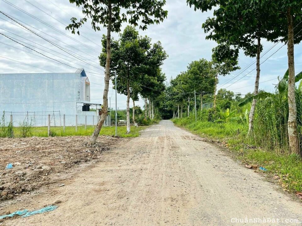 NỀN MẶT TIỀN ĐƯỜNG HUỲNH THỊ NỠ - THƯỜNG THẠNH - CÁI RĂNG - CẦN THƠ NỀN MẶT TIỀN ĐƯỜNG HUỲNH THỊ NỠ - THƯỜNG THẠNH - CÁI RĂNG - CẦN THƠ