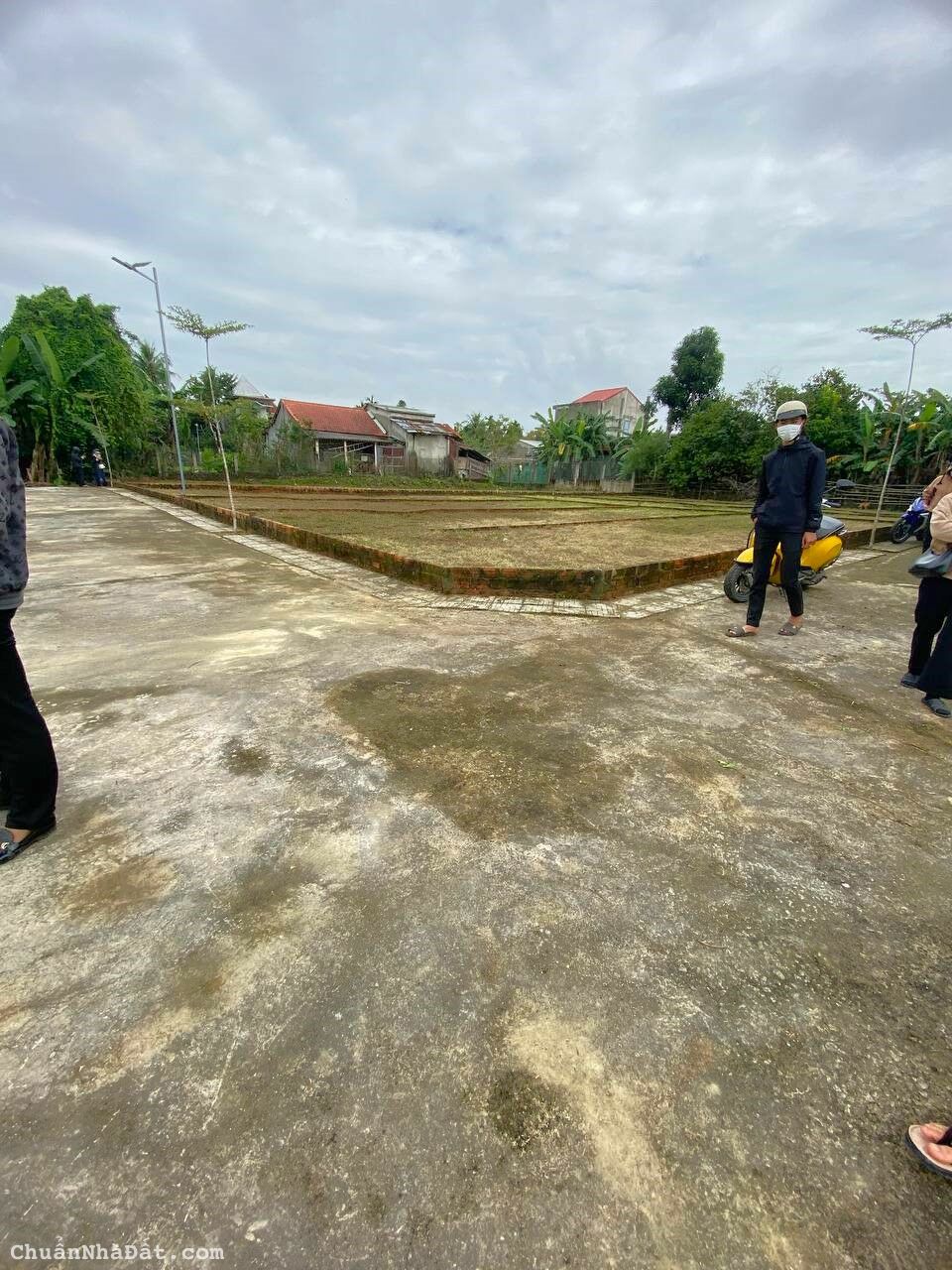 Cuối năm cần tiền nền bán gấp lô Điện Hồng gần chợ Lạc Thành Cuối năm cần tiền nền bán gấp lô Điện Hồng gần chợ Lạc Thành