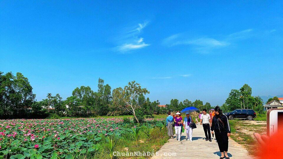 Cần Tiền gấp nên cần nhượng lại lô đối diện đầm sen Điện Tiến giá rẽ Cần Tiền gấp nên cần nhượng lại lô đối diện đầm sen Điện Tiến giá rẽ