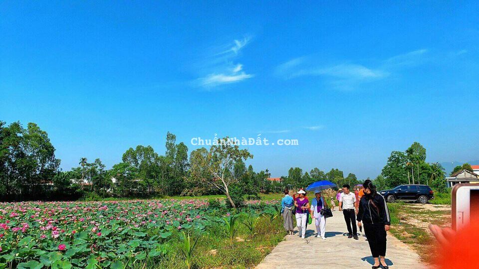 Cần bán Đất Xã Điện Tiến, Điện Bàn, Diện tích 138m², 2MT