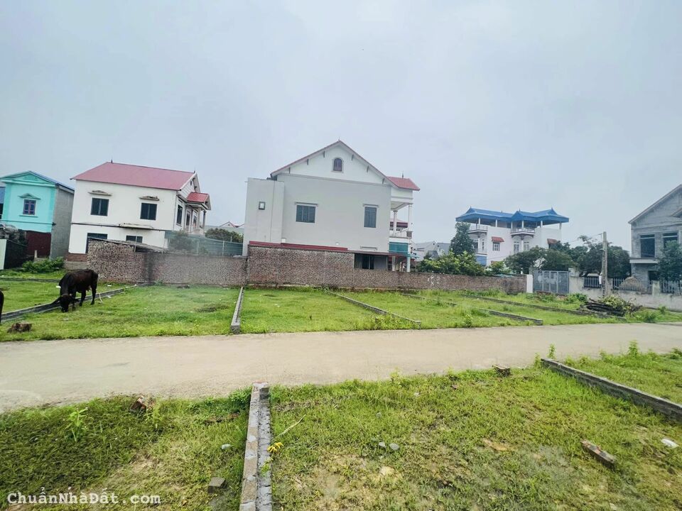 HƠN 10 LÔ NAY CHỈ CÒN 5 LÔ - HÀNG F0 CHẤT LƯỢNG GIÁ TỐT CHO AI NHANH TAY. HƯƠNG ĐÌNH - MAI ĐÌNH ss