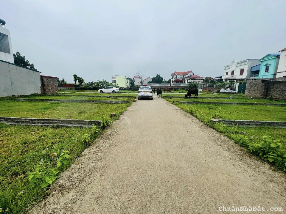 bán gấp 50m tại HƯƠNG ĐÌNH - MAI ĐÌNH - SÓC SƠN - HÀ NỘI bán gấp 50m tại HƯƠNG ĐÌNH - MAI ĐÌNH - SÓC SƠN - HÀ NỘI