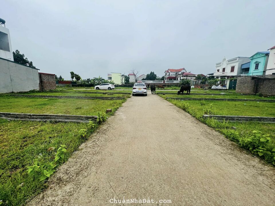 HƠN 10 LÔ NAY CHỈ CÒN 5 LÔ - HÀNG F0 CHẤT LƯỢNG GIÁ TỐT CHO AI NHANH TAY. HƯƠNG ĐÌNH - MAI ĐÌNH ss