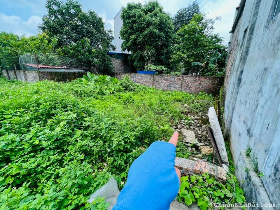 Chính chủ cần bán lô đất đẹp tại thôn Đài Bi , Uy Nỗ. ** Dt 47 m2 Chính chủ cần bán lô đất đẹp tại thôn Đài Bi , Uy Nỗ. ** Dt 47 m2