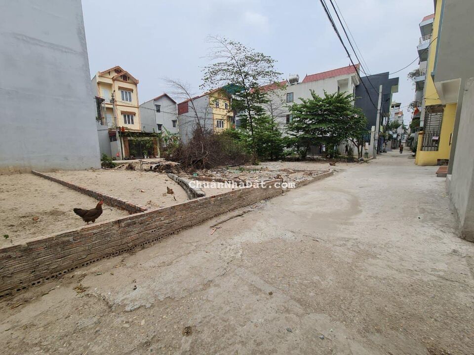 Bán gấp 56,8m Chợ Kim- Xuân Nộn- Đông Anh giá cắt lỗ 1.650tr