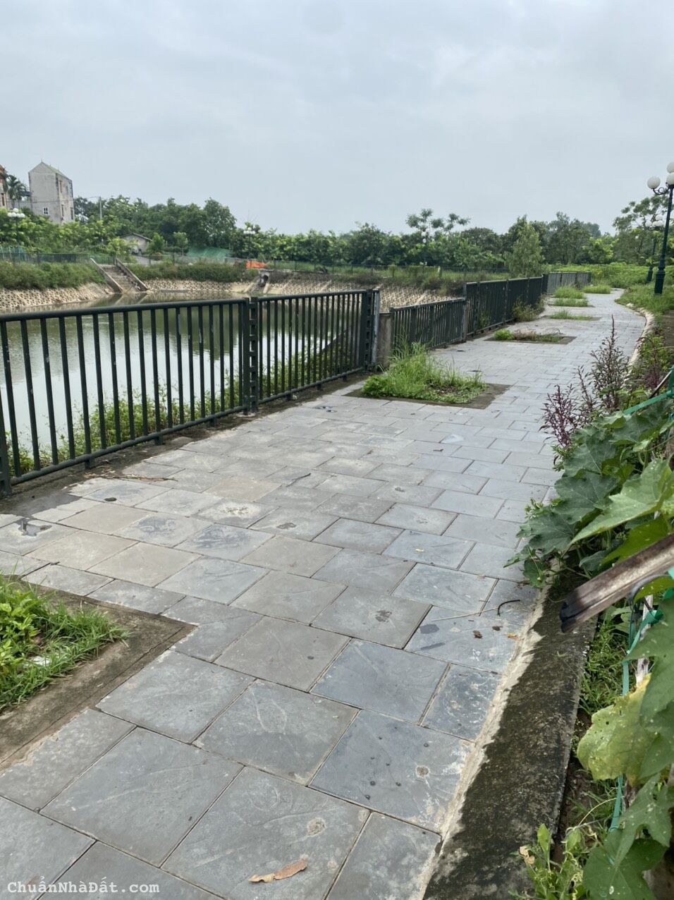 chính chủ gửi bán 62,5m văn thượng, xuân canh, đông anh, hn giá công khai 45tr/m chính chủ gửi bán 62,5m văn thượng, xuân canh, đông anh, hn giá công khai 45tr/m