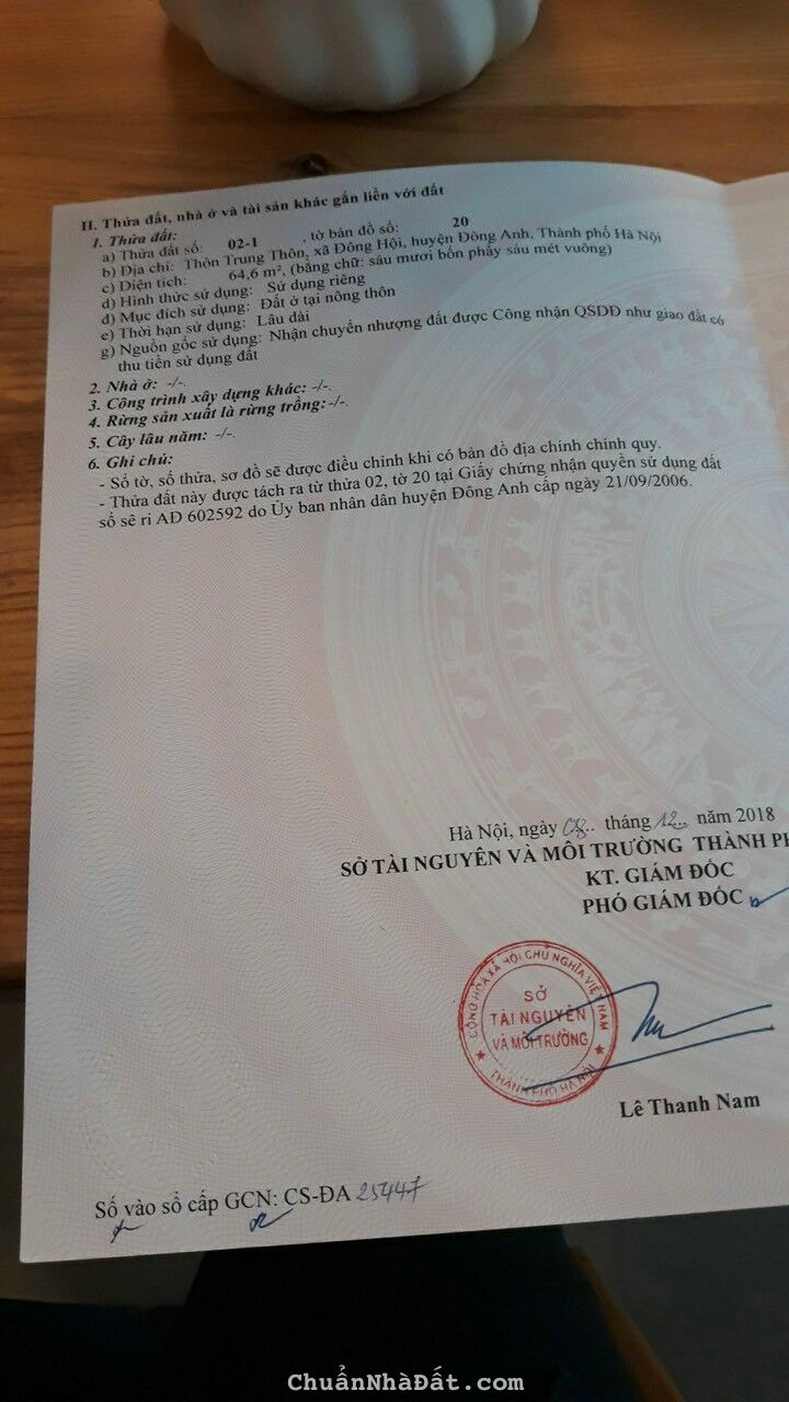 CHÍNH CHỦ GIAO BÁN 64M ĐẤT TRUNG THÔN, ĐÔNG HỘI, ĐÔNG ANH, HÀ NỘI-PHÂN LÔ BÀN CỜ-ĐẸP NHẤT KHU VỰC CHÍNH CHỦ GIAO BÁN 64M ĐẤT TRUNG THÔN, ĐÔNG HỘI, ĐÔNG ANH, HÀ NỘI-PHÂN LÔ BÀN CỜ-ĐẸP NHẤT KHU VỰC