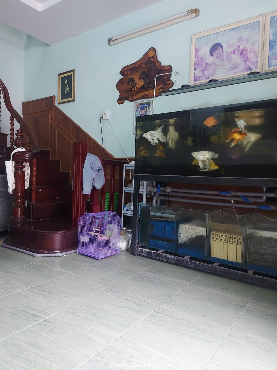 BÁN NHANH CĂN MẶT TIỀN ĐƯỜNG KIẾN THIẾT PHƯỜNG PHƯỚC HÒA BÁN NHANH CĂN MẶT TIỀN ĐƯỜNG KIẾN THIẾT PHƯỜNG PHƯỚC HÒA