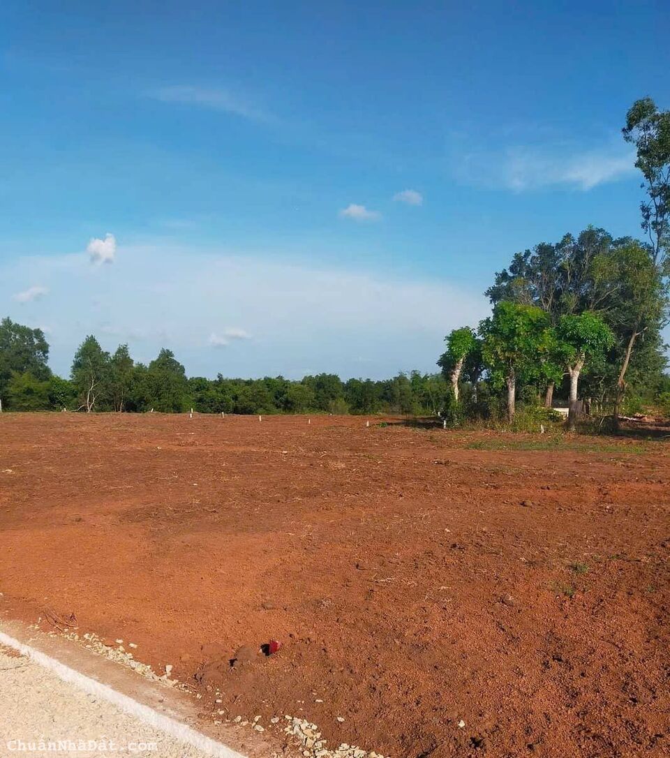 F0- Gần KCN Đất Đỏ, xã Phước Long Thọ, H. Đất Đỏ, Bà Rịa Vũng Tàu - giá lướt sóng cực tốt !!!