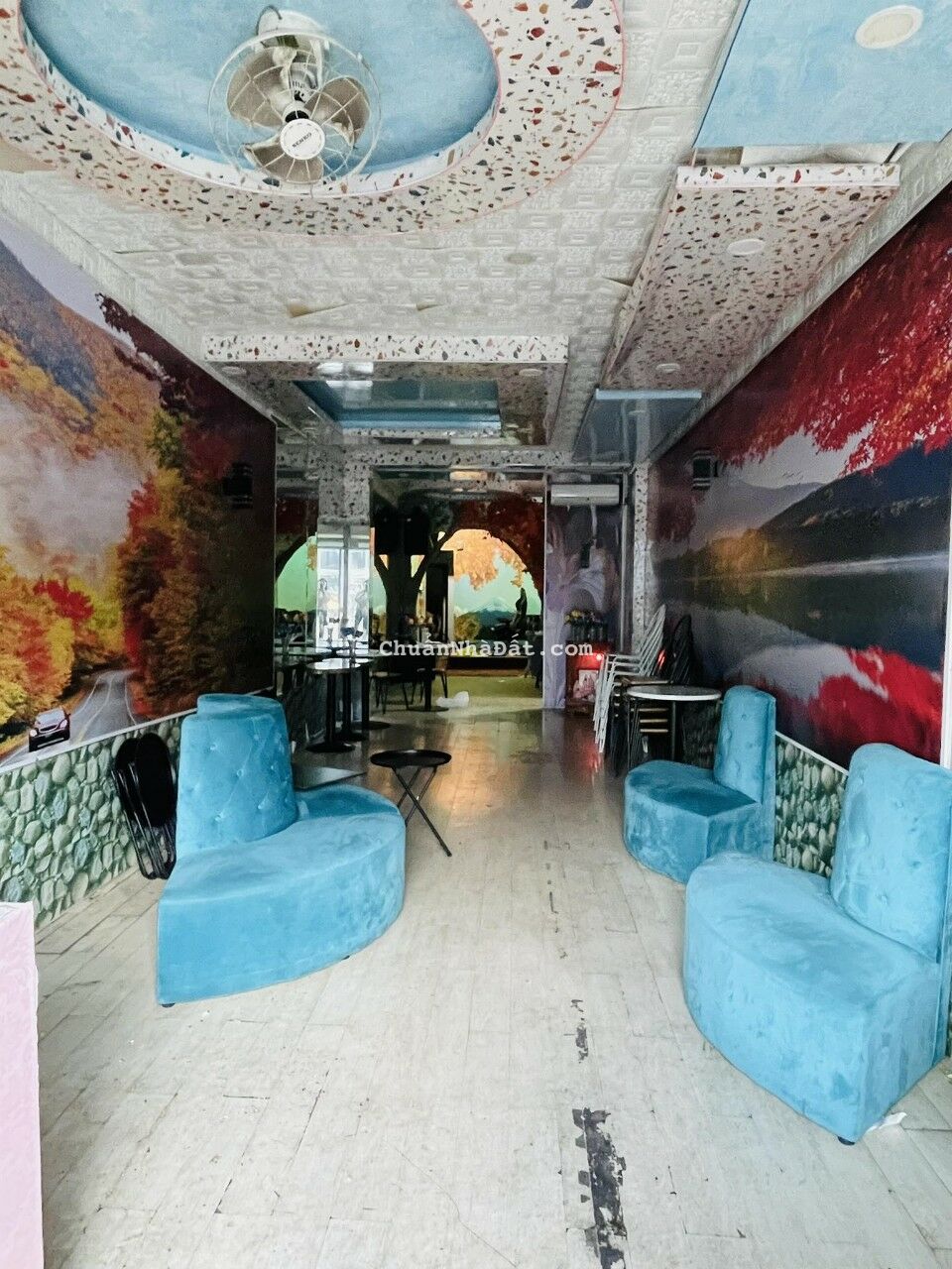 Cho thuê nhà nguyên căn Mặt Tiền Lê Đức Thọ p13 