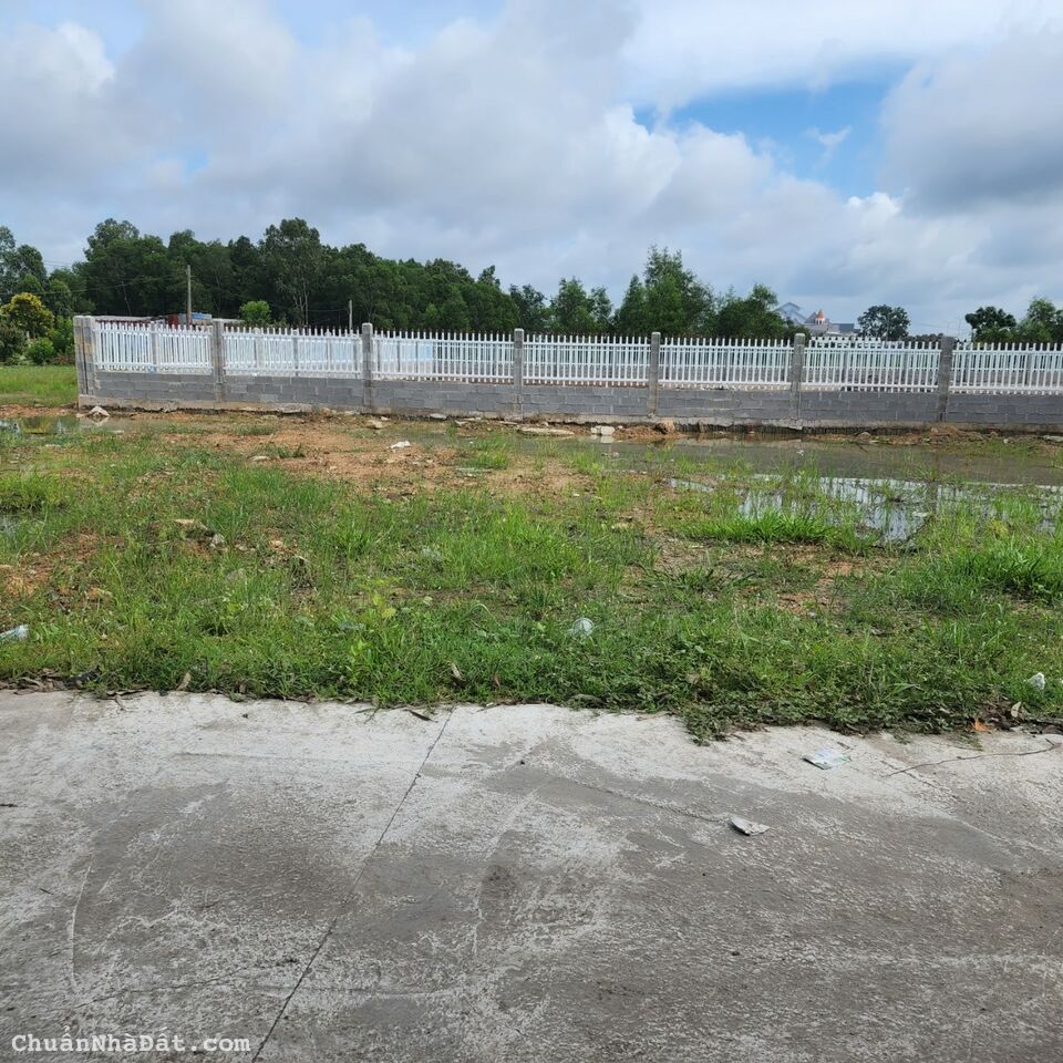 Bán đất nền 2 sẹc quốc lộ 51 Tân Hòa Phú Mỹ Bà Rịa Vũng Tàu