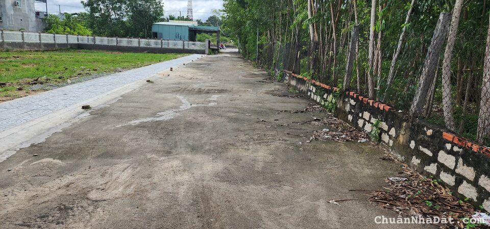 Bán đất nền 2 sẹc quốc lộ 51 Tân Hòa Phú Mỹ Bà Rịa Vũng Tàu