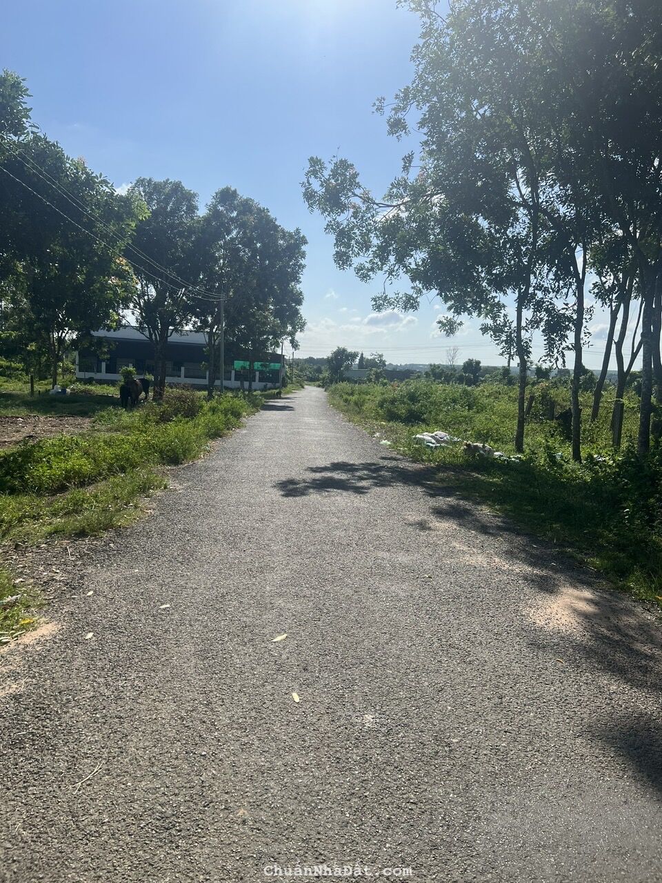 đất sào giá ngợp Hàm Thuận Nam đất sào giá ngợp Hàm Thuận Nam