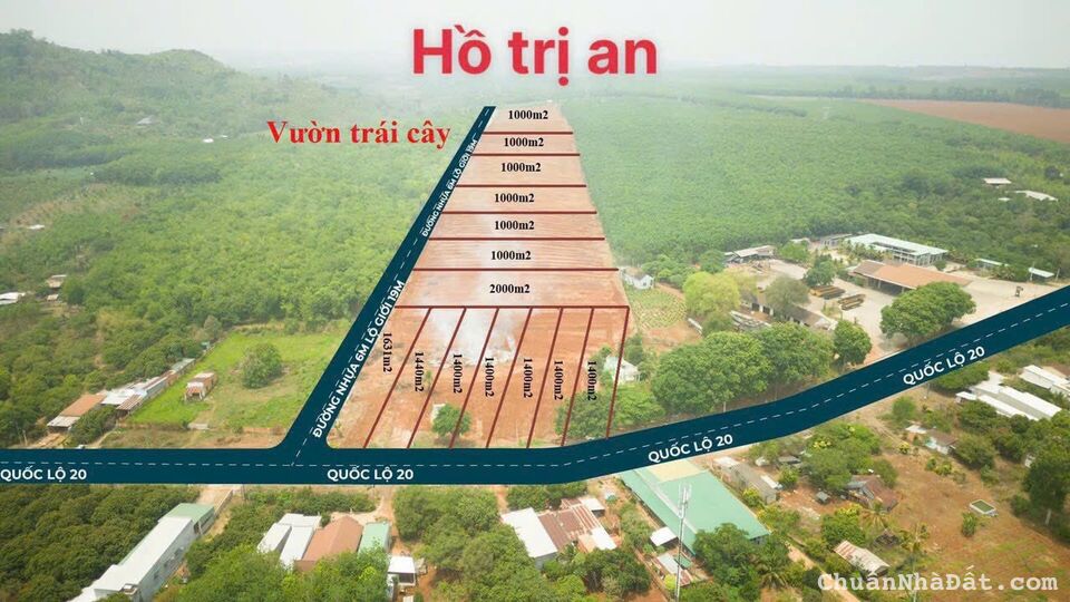 Siêu Phầm Đất Nền Mặt Tiền Quốc Lộ 20 Siêu Phầm Đất Nền Mặt Tiền Quốc Lộ 20