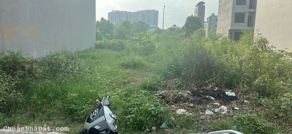 6060M² ĐẤT LIỀN KỀ - TRUNG TÂM HÀNH CHÍNH THANH TRÌ - VỈA HÈ - MẶT LÝ TƯỞNG - GIÁ NHỈNH 9 TỶ. 6060M² ĐẤT LIỀN KỀ - TRUNG TÂM HÀNH CHÍNH THANH TRÌ - VỈA HÈ - MẶT LÝ TƯỞNG - GIÁ NHỈNH 9 TỶ.