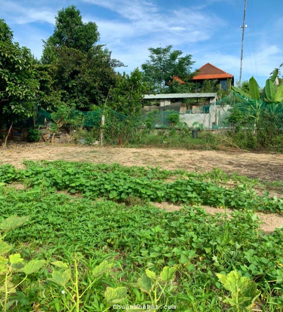 Đất phường Điện Thắng giá rẻ nhất khu vực