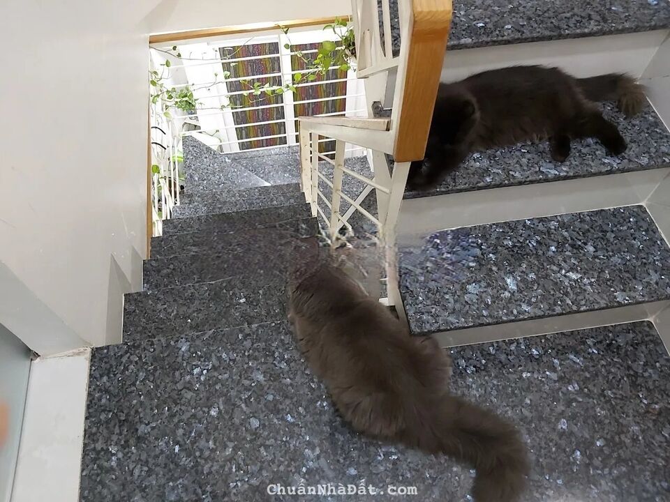 Bán nhà mt 4 tầng giá chỉ 1,8 tỷ gần chợ Phú Nhuận ngay tại Cao Thắng, Phường 17, Quận Phú Nhuận