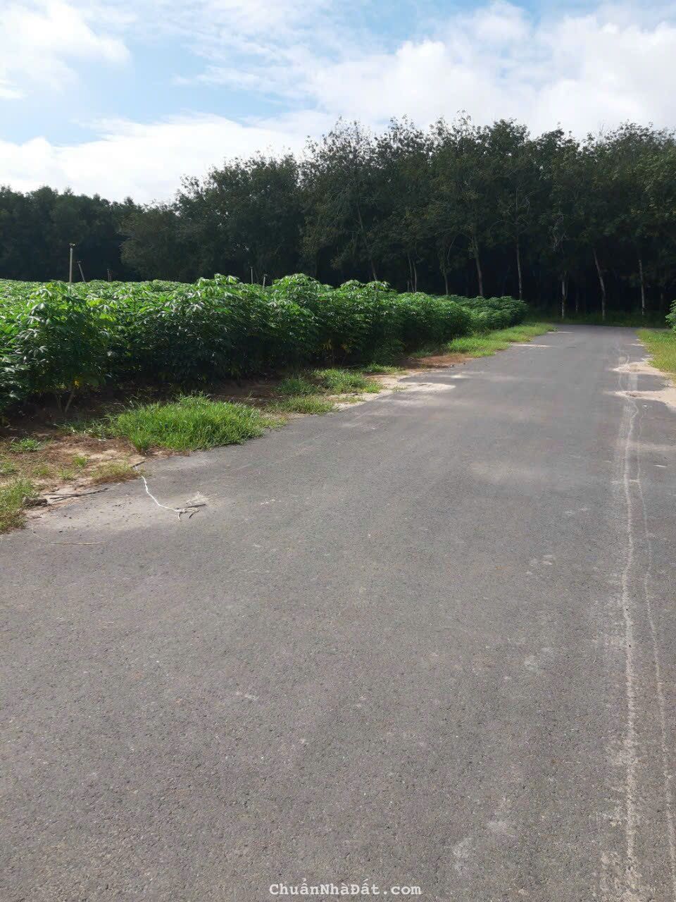 bán lô đất nền siêu phẩm có 1 02 giá 0 đồng