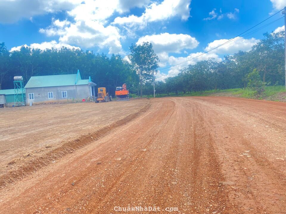 tôi đang cần bán nhanh 2 lô đất do không còn tiền trả ngân hàng