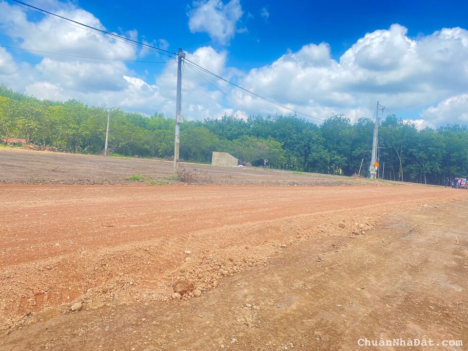 tôi đang cần bán nhanh 2 lô đất do không còn tiền trả ngân hàng