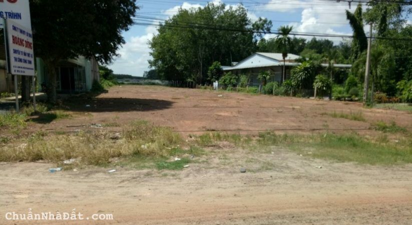 BÁN ĐẤT THANH LƯƠNG BÌNH LONG 2.000M2 SỔ SẴN 295 TRIỆU