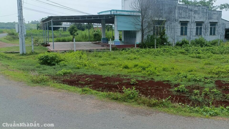 BÁN ĐẤT THANH LƯƠNG BÌNH LONG 2.000M2 SỔ SẴN 295 TRIỆU