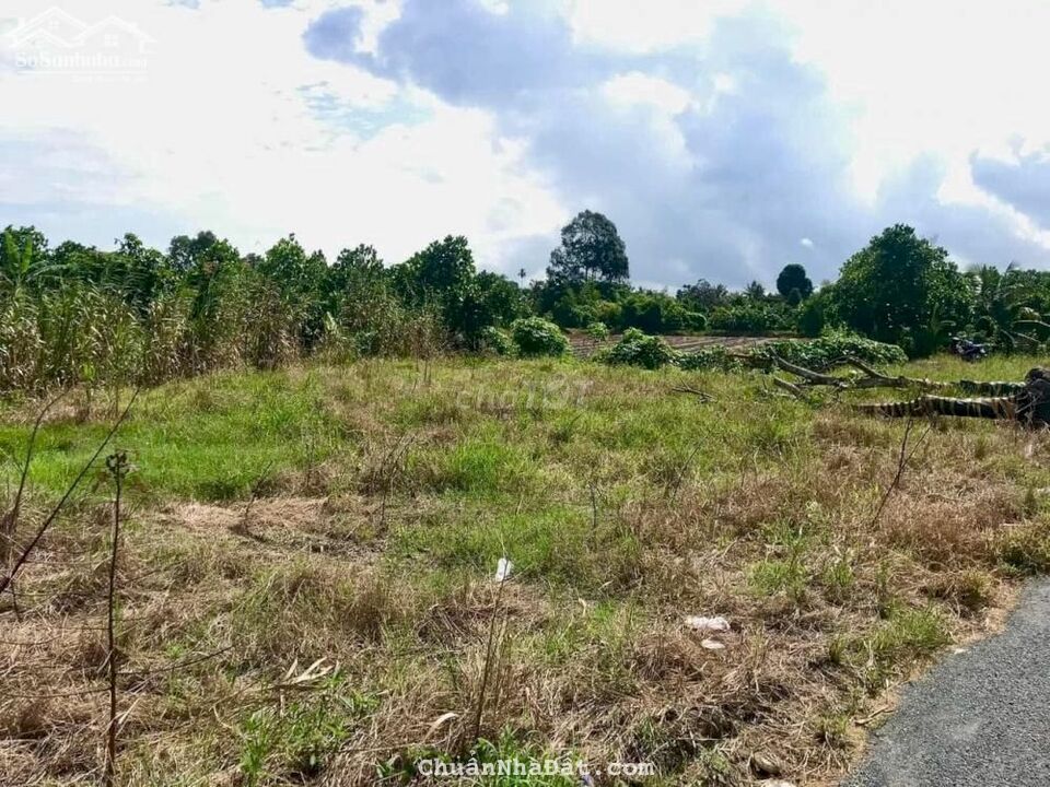 Bán đất (CLN)TL922 Xã Xuân Thắng, huyện Thới Lai, TP.Cần Thơ