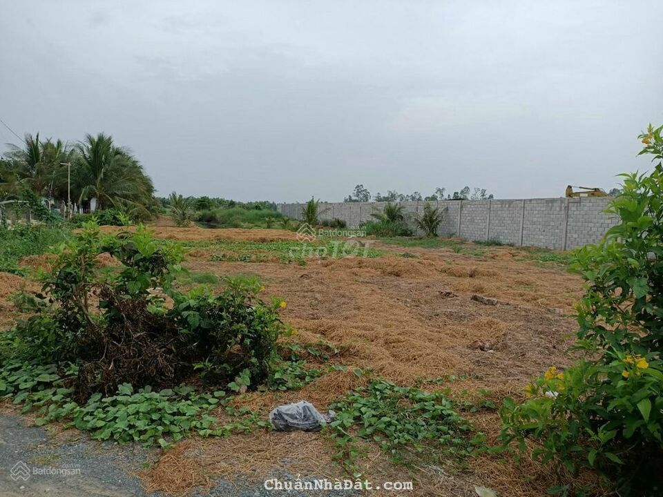 Bán đất (CLN)TL922 Xã Xuân Thắng, huyện Thới Lai, TP.Cần Thơ