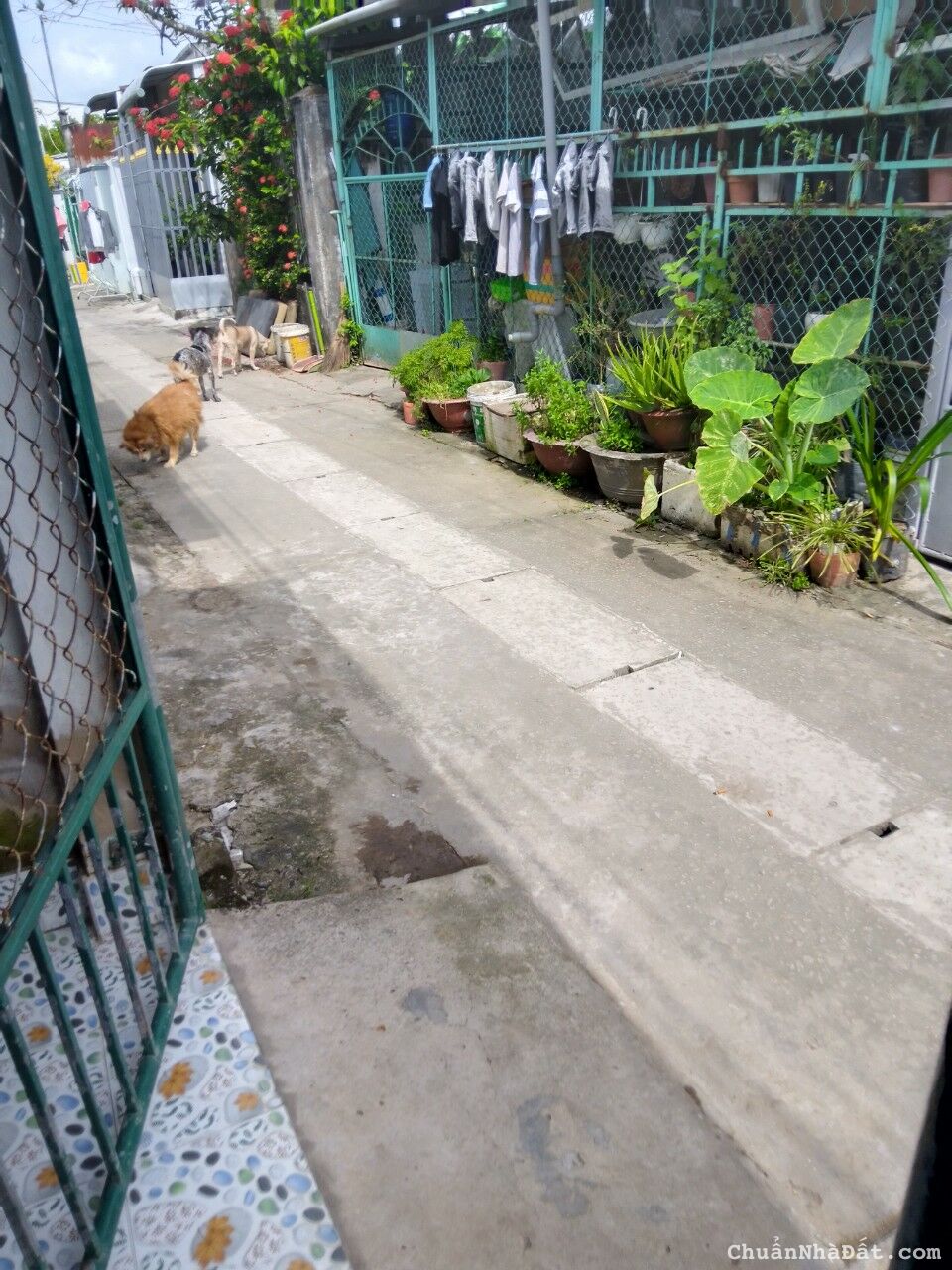 BÁN CĂN NHÀ 80M2 THÀNH PHỐ SÓC TRĂNG, AN SINH TỐT, ĐẦY ĐỦ TIỆN ÍCH, GIÁ CHỈ 700 TRIỆU