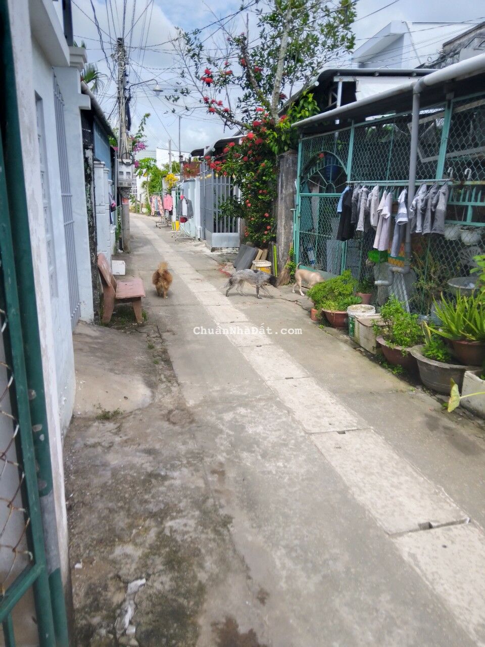 BÁN CĂN NHÀ 80M2 THÀNH PHỐ SÓC TRĂNG, AN SINH TỐT, ĐẦY ĐỦ TIỆN ÍCH, GIÁ CHỈ 700 TRIỆU