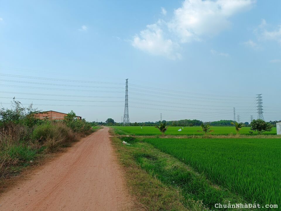 BÁN ĐẤT LÚA TRỒNG ĐƯỢC SẦU RIÊNG 2.2 TỶ/MẪU (10.000M2), DIỆN TÍCH 1,1MẪU, GIÁ BÁN  2.4 TỶ