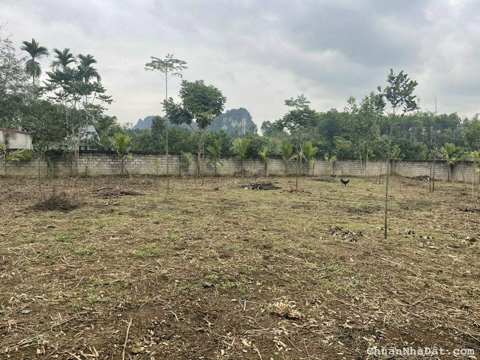 BÁN NHANH LÔ ĐẤT 1000M2 LƯƠNG SƠN, HÒA BÌNH, ĐẦU TƯ SINH LỜI CAO, GIÁ 1,55 TỶ