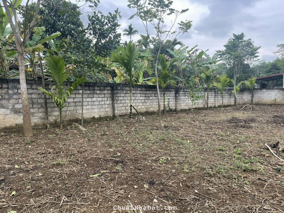 BÁN NHANH LÔ ĐẤT 1000M2 LƯƠNG SƠN, HÒA BÌNH, ĐẦU TƯ SINH LỜI CAO, GIÁ 1,55 TỶ