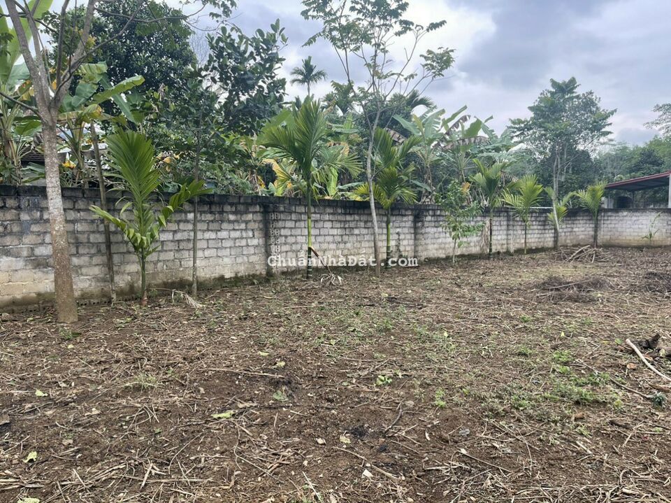 BÁN NHANH LÔ ĐẤT 1000M2 LƯƠNG SƠN, HÒA BÌNH, ĐẦU TƯ SINH LỜI CAO, GIÁ 1,55 TỶ