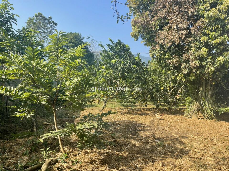 BÁN NHANH LÔ ĐẤT 1000M2 LƯƠNG SƠN, HÒA BÌNH, ĐẦU TƯ, NGHỈ DƯỠNG SIÊU TỐT, GIÁ 1,3 TỶ