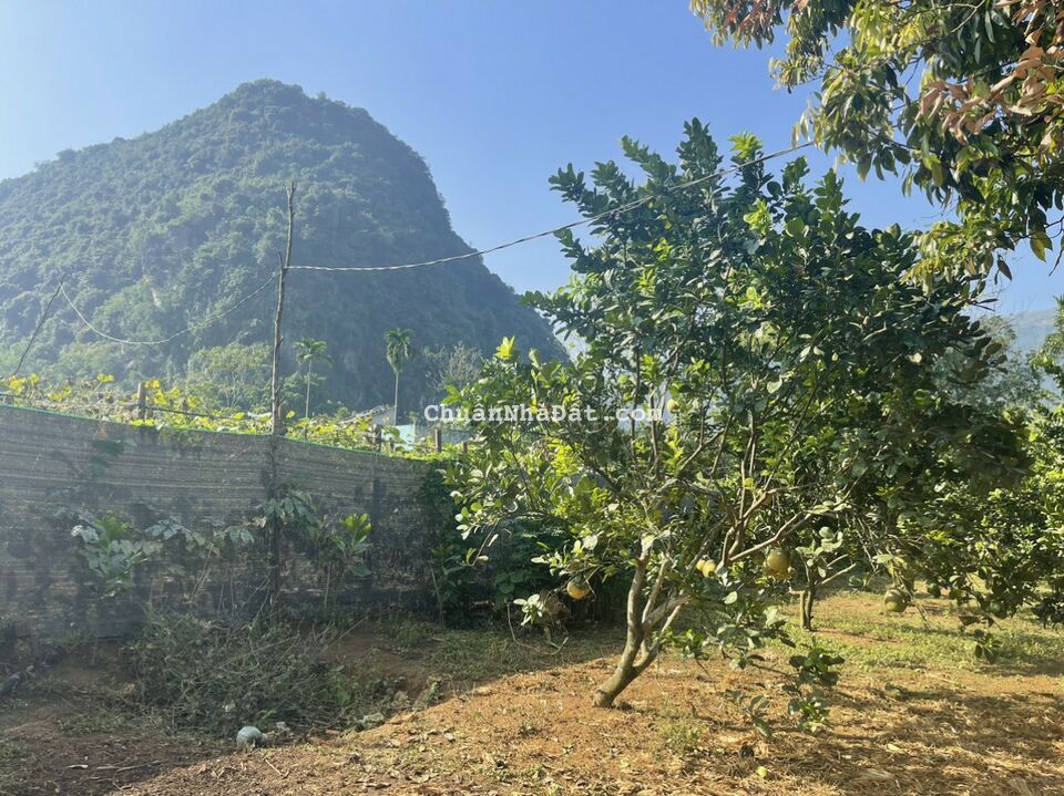 BÁN NHANH LÔ ĐẤT 1000M2 LƯƠNG SƠN, HÒA BÌNH, ĐẦU TƯ, NGHỈ DƯỠNG SIÊU TỐT, GIÁ 1,3 TỶ