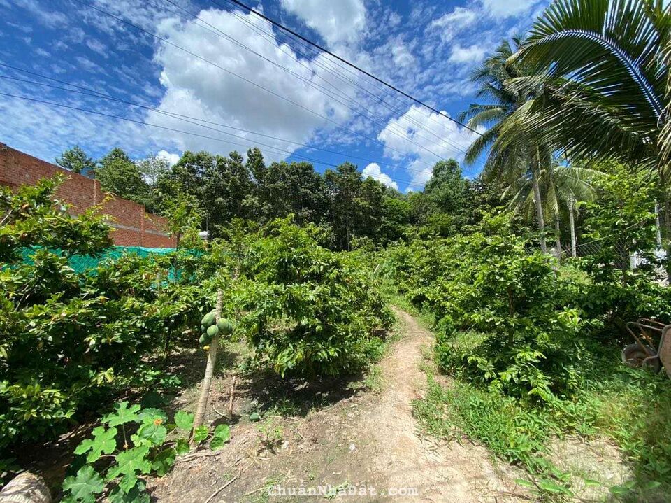 BÁN LÔ ĐẤT 446M2 VỊ TRÍ ĐẸP TẠI HUYỆN TÂN BIÊN, TỈNH TÂY NINH, GIÁ CHỈ 700 TRỆU