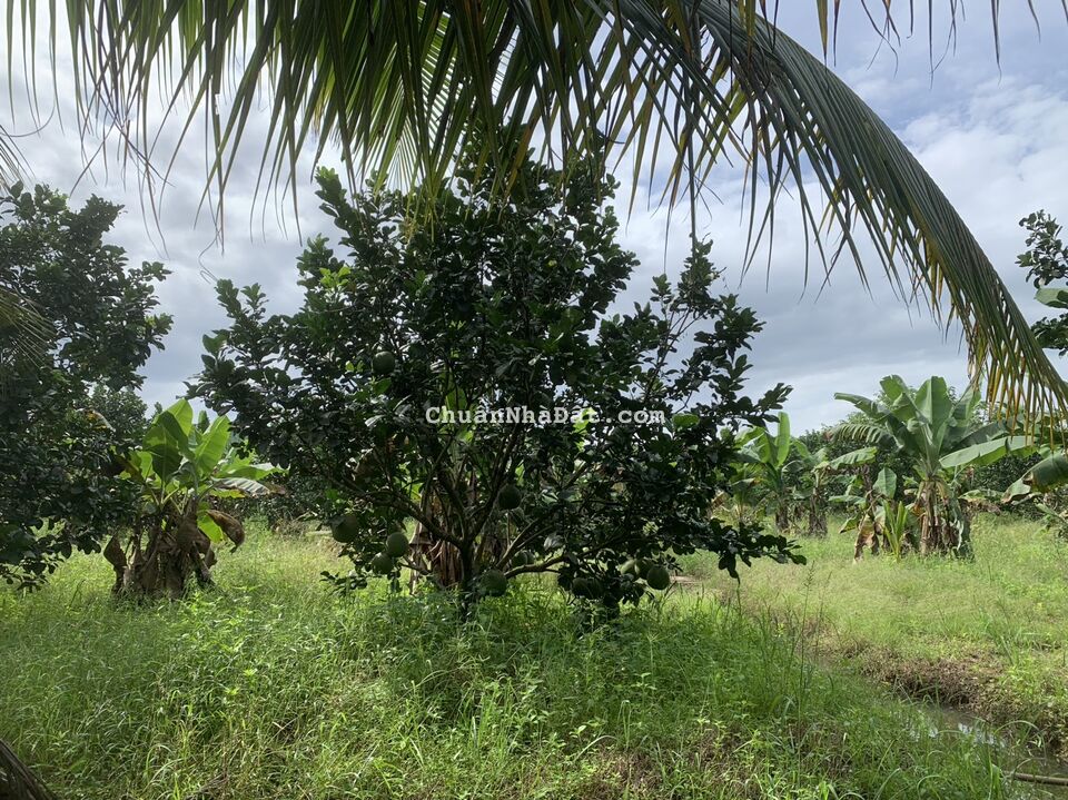 BÁN NHANH LÔ ĐẤT 22000M2 DIÊN KHÁNH, KHÁNH HÒA, ĐẦU TƯ NGHỈ DƯỠNG, GIÁ 22 TỶ BÁN NHANH LÔ ĐẤT 22000M2 DIÊN KHÁNH, KHÁNH HÒA, ĐẦU TƯ NGHỈ DƯỠNG, GIÁ 22 TỶ