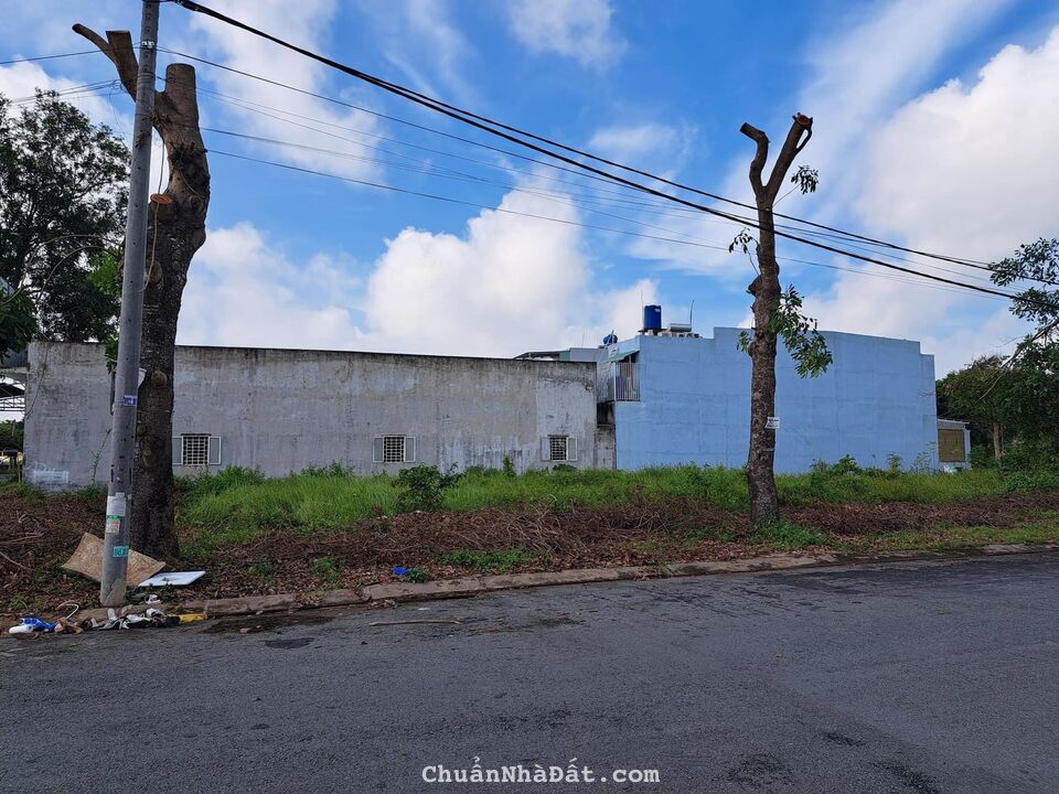 NGÂN HÀNG THANH LÝ GẤP thu hồi vốn nhanh 5 lô đất thuộc xã Tân Kiên, H. Bình Chánh