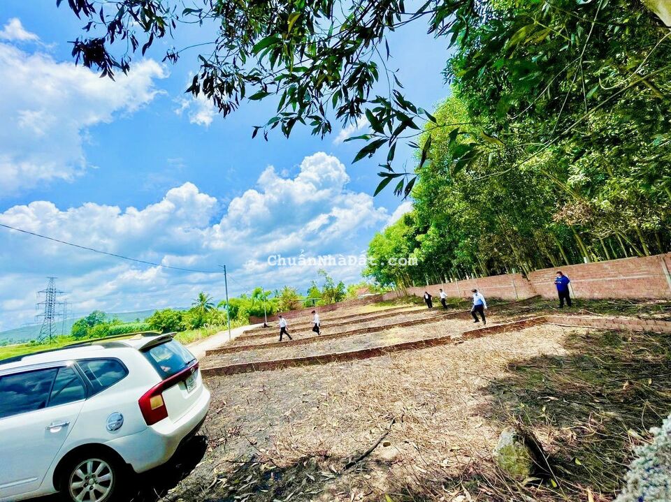 Chính chủ cần tiền gấp bán nhanh lô đất tại Hòa Vang giá 1070 tỷ Chính chủ cần tiền gấp bán nhanh lô đất tại Hòa Vang giá 1070 tỷ