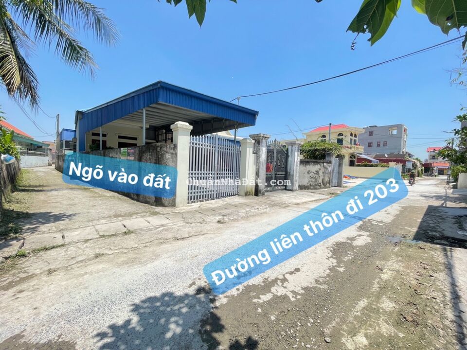 MỞ BÁN LÔ ĐẤT CÁCH ĐƯỜNG 203 HOA ĐỘNG CHỈ HƠN 100M GIÁ CỰC RẺ MỞ BÁN LÔ ĐẤT CÁCH ĐƯỜNG 203 HOA ĐỘNG CHỈ HƠN 100M GIÁ CỰC RẺ