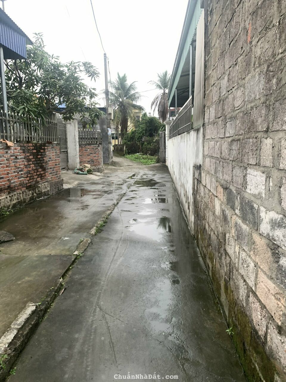 MỞ BÁN LÔ ĐẤT CÁCH ĐƯỜNG 203 HOA ĐỘNG CHỈ HƠN 100M GIÁ CỰC RẺ MỞ BÁN LÔ ĐẤT CÁCH ĐƯỜNG 203 HOA ĐỘNG CHỈ HƠN 100M GIÁ CỰC RẺ