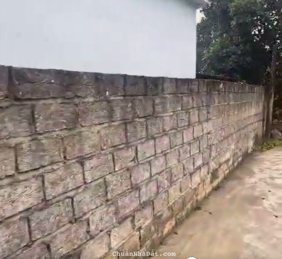 🔥🔥2 lô fo mới mở bán tại hoa động ngay sát dự án đường 359 mở rộng mà giá cực rẻ Thủy Nguyên Hải 🔥🔥2 lô fo mới mở bán tại hoa động ngay sát dự án đường 359 mở rộng mà giá cực rẻ Thủy Nguyên Hải