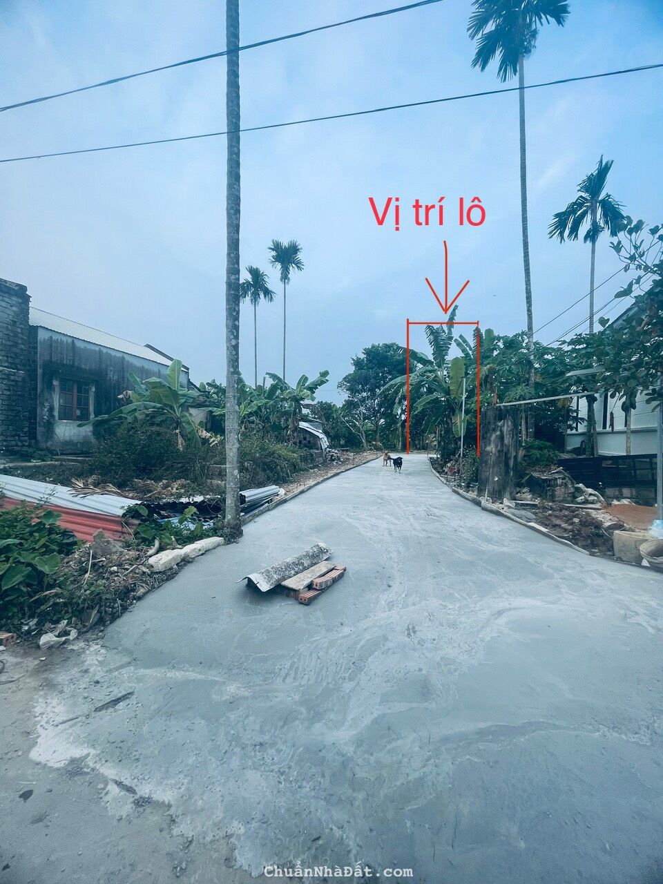 🏞🏞🏞MỞ BÁN LÔ ĐẤT NỀN NGAY GẦN ĐƯỜNG 203, DT 80M2 MÀ GIÁ CHỈ 930TR HOA ĐỘNG THỦY NGUYÊN HẢI PHÒNG 🏞🏞🏞MỞ BÁN LÔ ĐẤT NỀN NGAY GẦN ĐƯỜNG 203, DT 80M2 MÀ GIÁ CHỈ 930TR HOA ĐỘNG THỦY NGUYÊN HẢI PHÒNG