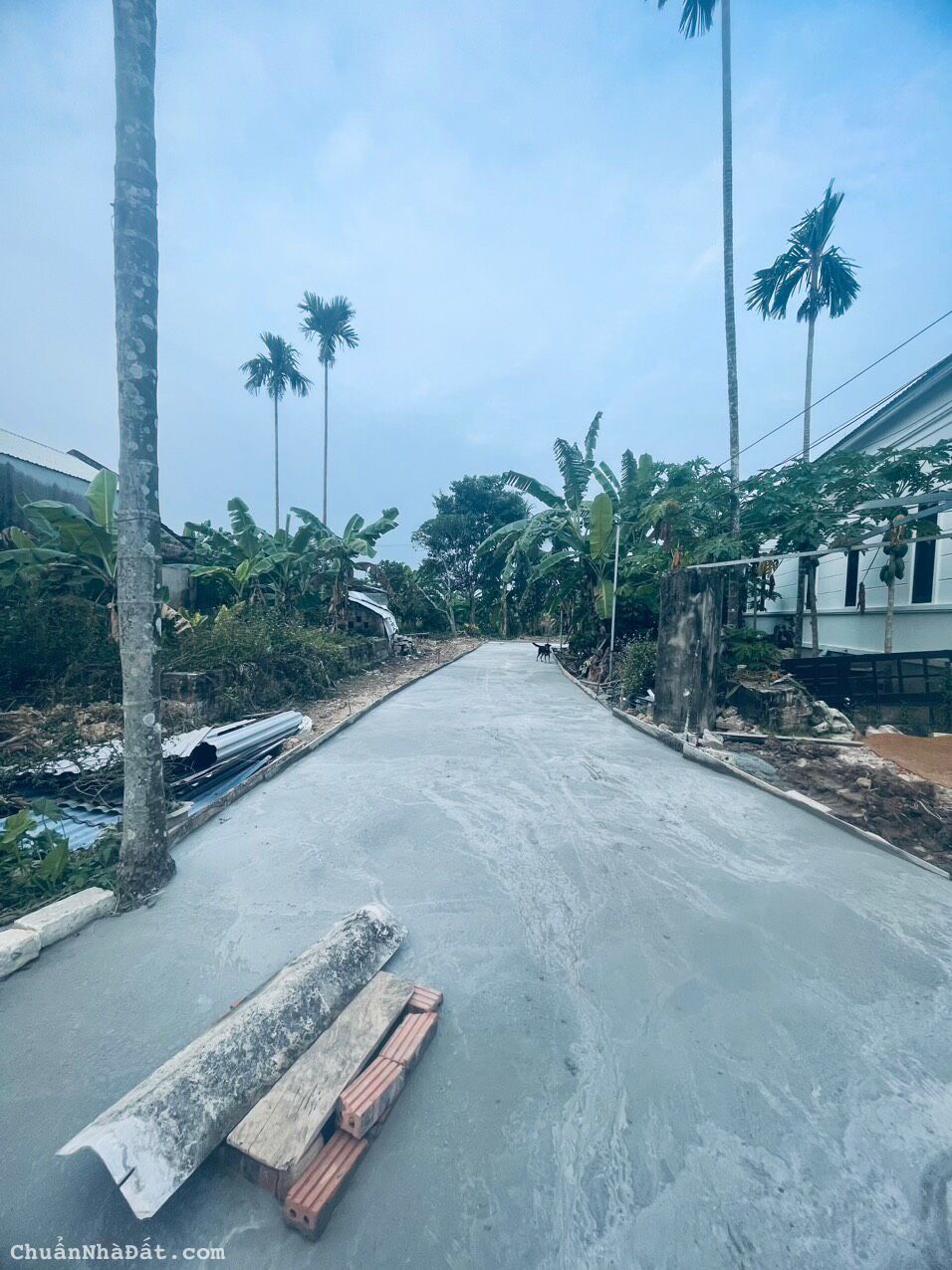 🏞🏞🏞MỞ BÁN LÔ ĐẤT NỀN NGAY GẦN ĐƯỜNG 203, DT 80M2 MÀ GIÁ CHỈ 930TR HOA ĐỘNG THỦY NGUYÊN HẢI PHÒNG 🏞🏞🏞MỞ BÁN LÔ ĐẤT NỀN NGAY GẦN ĐƯỜNG 203, DT 80M2 MÀ GIÁ CHỈ 930TR HOA ĐỘNG THỦY NGUYÊN HẢI PHÒNG