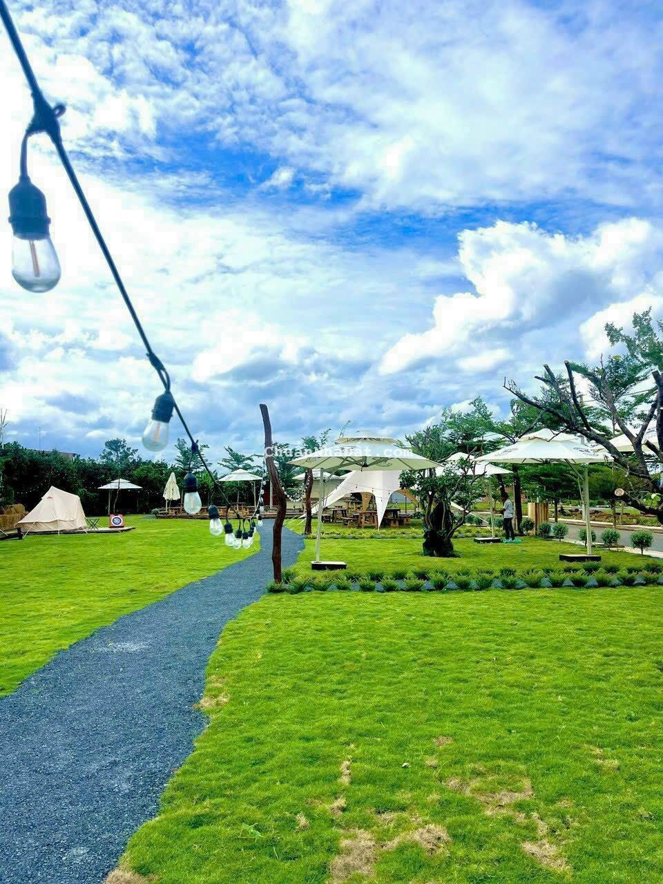 Bán đất nền SHR thổ cư tái định cư, gần trạm thu phí Bửu Long 1 tỷ 5 bao sổ. Bán đất nền SHR thổ cư tái định cư, gần trạm thu phí Bửu Long 1 tỷ 5 bao sổ.